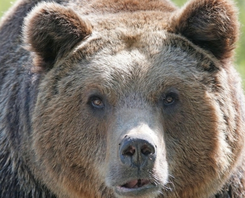 New Advisory and FAQ from OEMS